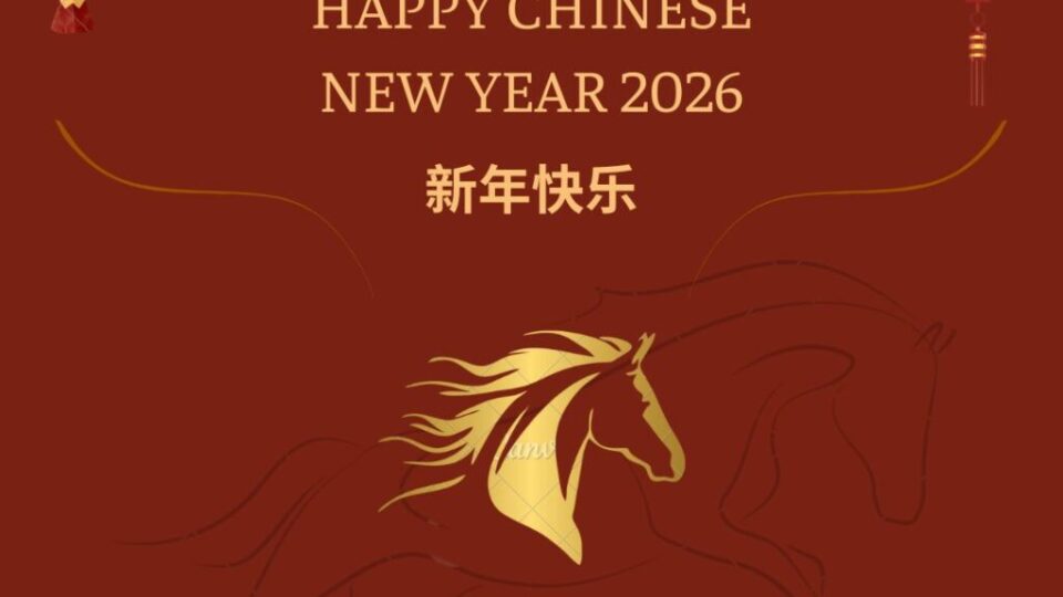 Red Yellow Bright and Quirky Chinese New Year Instagram Post